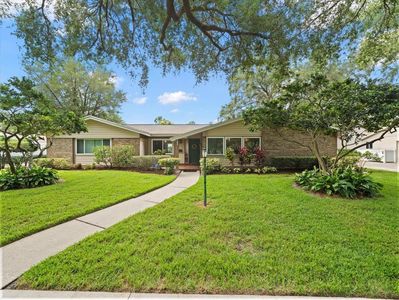 3325 Schefflera Rd, Tampa, FL, 33618