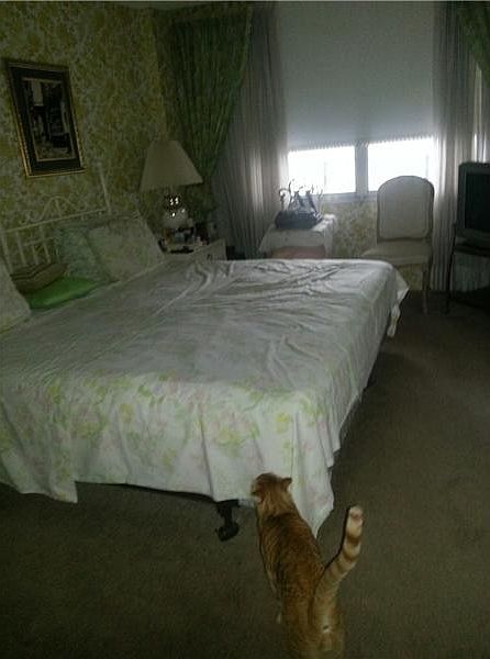 2nd image of 301 174th St APT 701