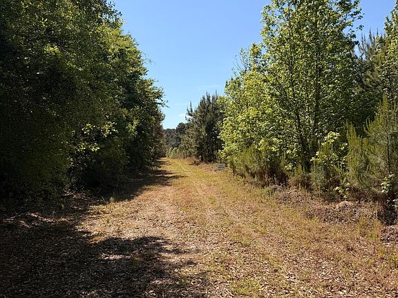 5th image of 1 Cottage Ln