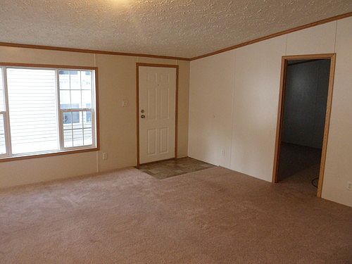 5th image of 4010 Pindo Palm Ct