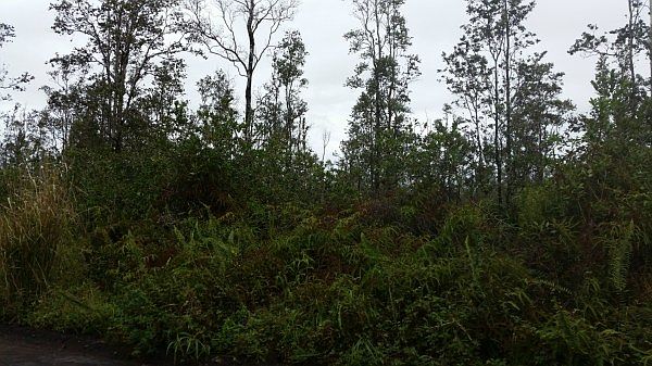 2nd image of 37th Ave Lot 58