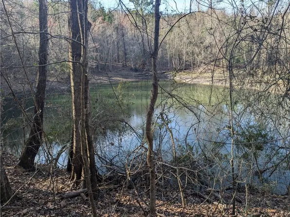 0 Parker Rd, Dry Branch, GA 31020