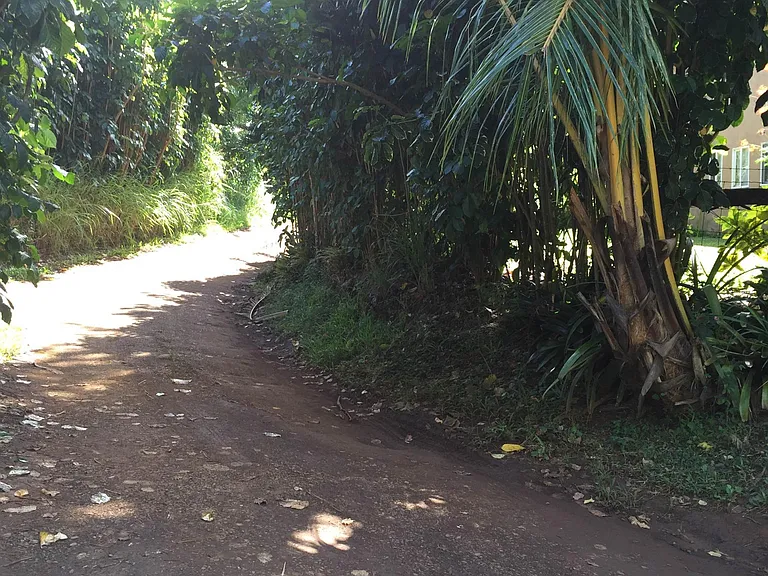 Honopou Rd — Photo 11