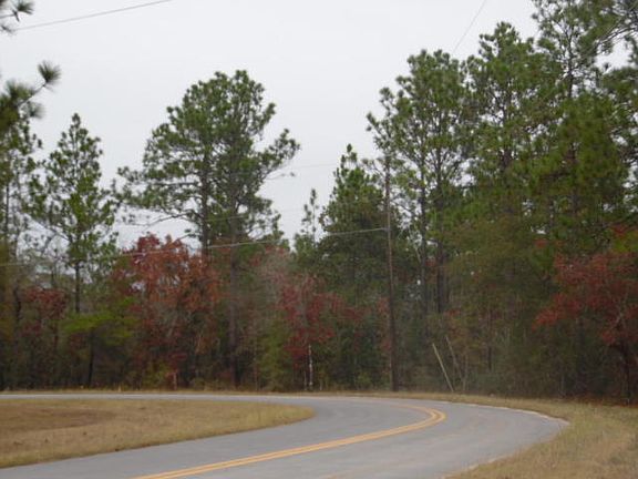 4th image of Oakwood Lakes Blvd Lot 72