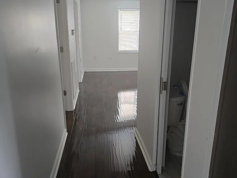 Hall from Kitchen to Living Room
