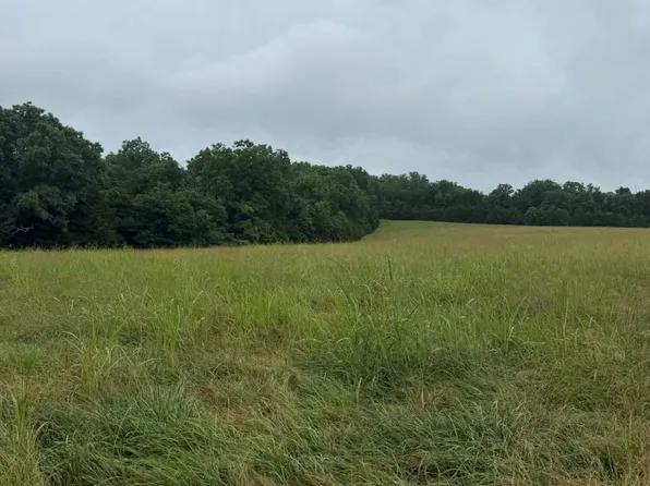 227 J Lea Lane, Theodosia, MO 65761