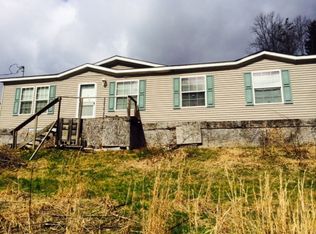 1041 Diana Dr, Webster Springs, WV 26288