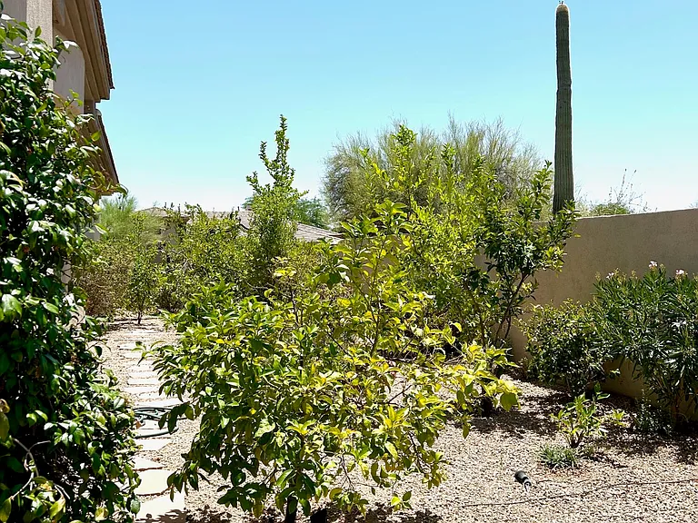 7484 E Pontebella Dr — Photo 32