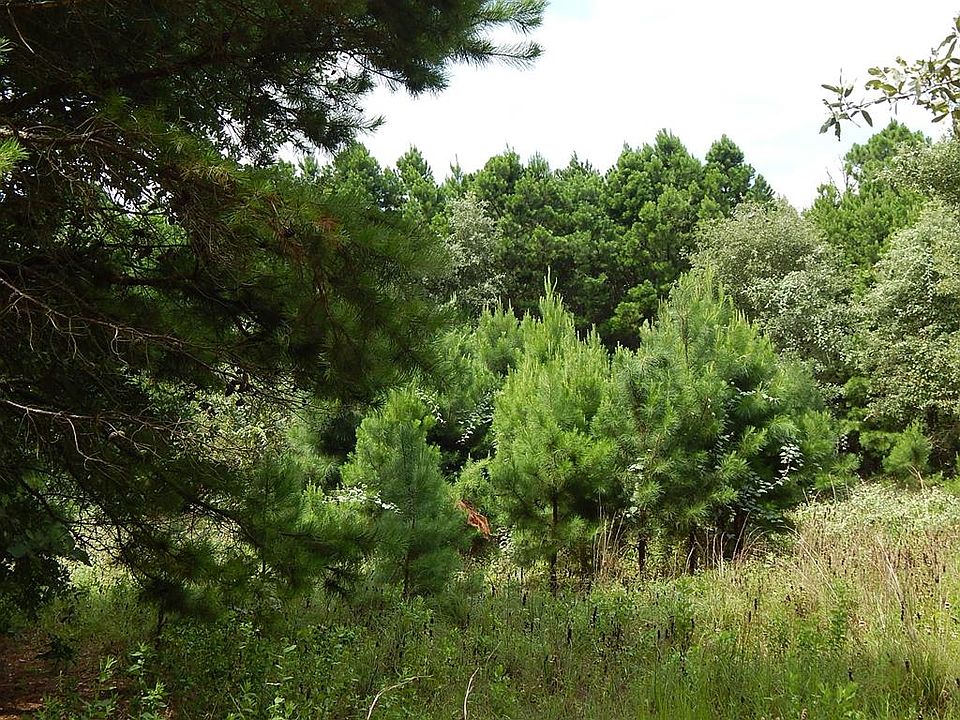 1st image of 10300 County Road 4402