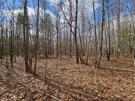 5th image of 10 Griswold Rd