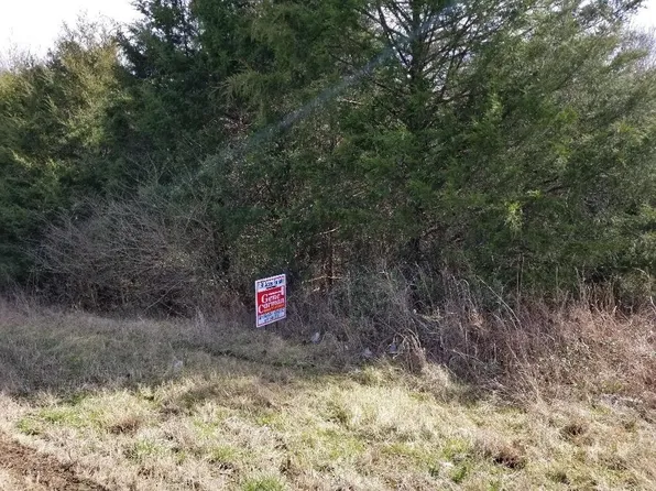 0 Highway 53 Byp, Alexandria, TN 37012