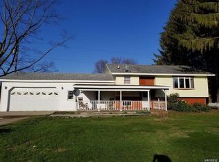 9114 S Dayton Silver Creek Rd, Forestville, NY 14062
