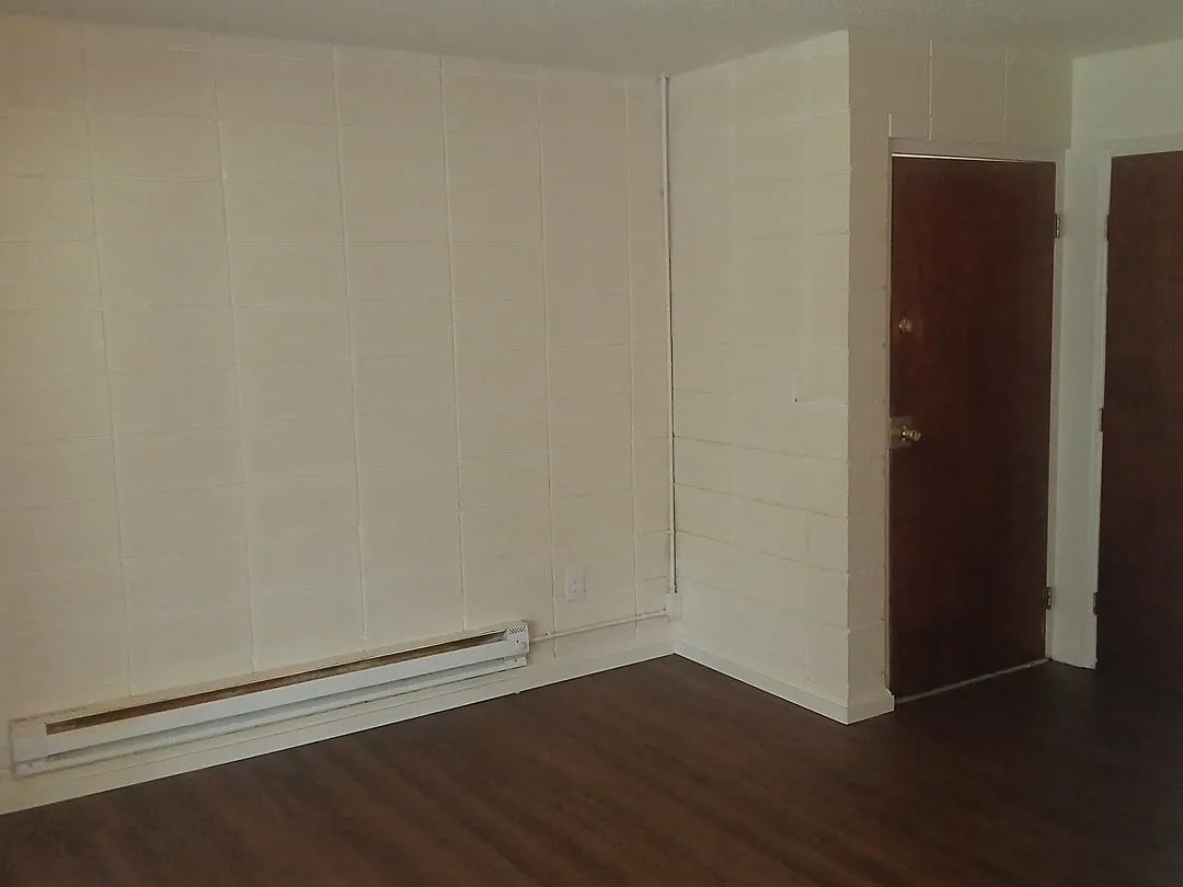 1 bed, $850 — Photo 2