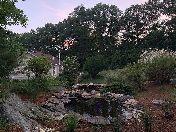 Backyard pond