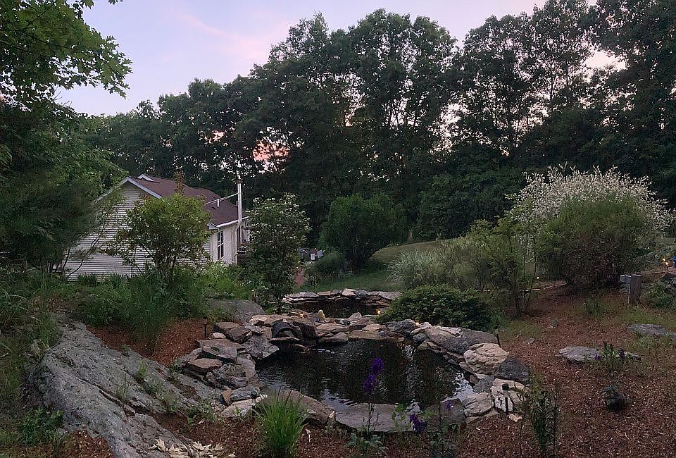 Backyard pond