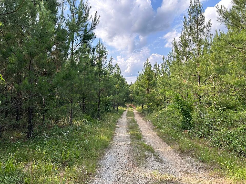 main woods road