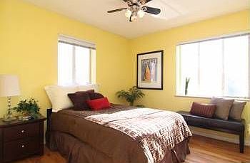 4th image of 1160 N Birch St APT 23