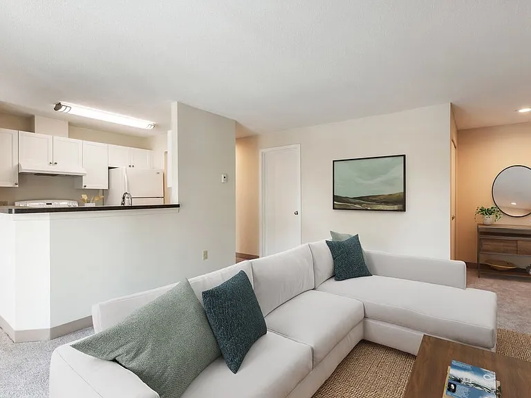 Classic Package I living room with carpet