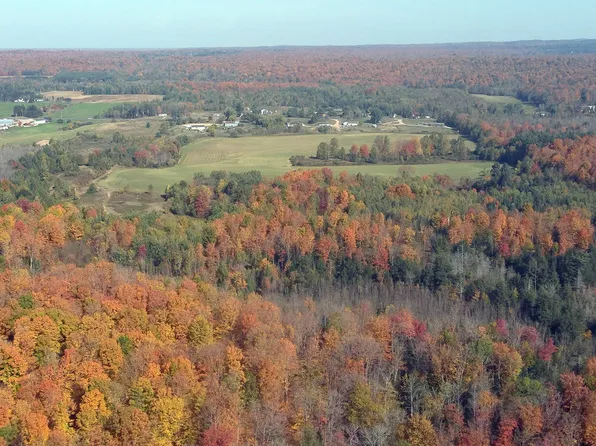 Highway 64, Bryant, WI 54418