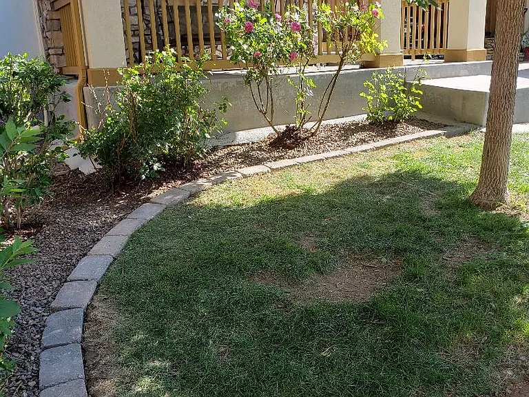 New edging give clean lines
