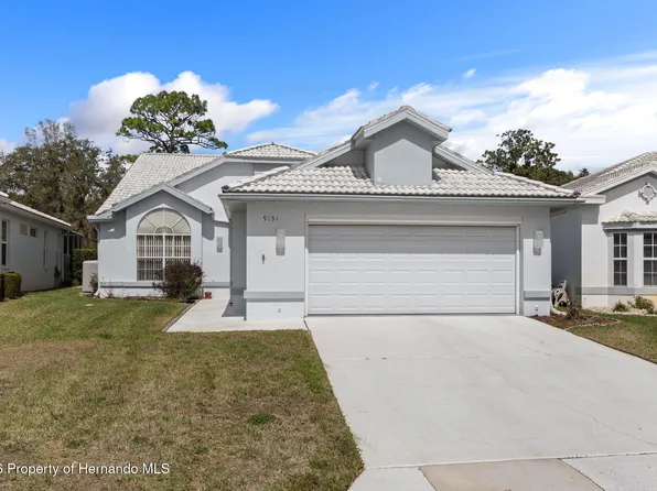 9151 Rhett Ln, Weeki Wachee, FL 34613