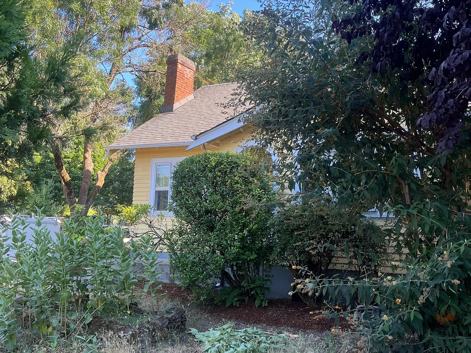 3 bed, 929 sqft, $2,500 — Photo 4