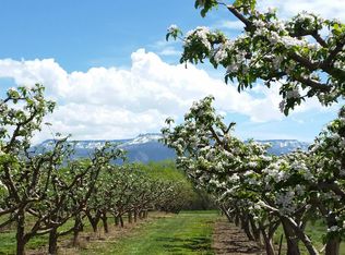 3376 C Rd, Palisade, CO 81526