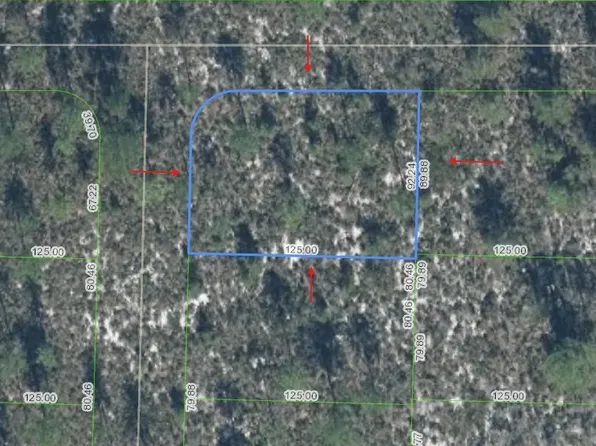 6698 Alicia Dr, Sebring, FL 33872