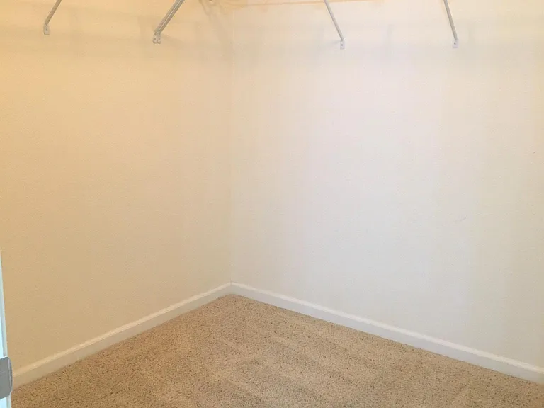 Master walk-in closet