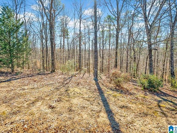 3rd image of 1025 Willowbrook Rd