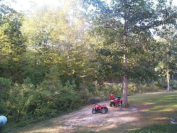 MORE OF THE 5 ACRES