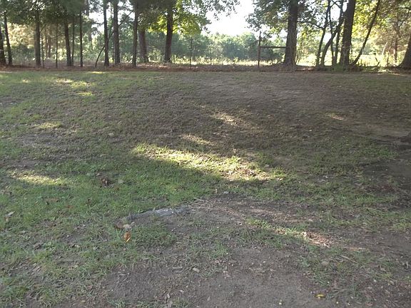 Back Yard View