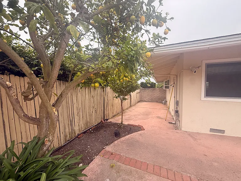 28058 Braidwood Dr — Photo 7