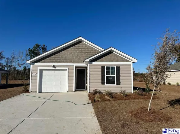 176 Country Grove Way Cameron #B-lot 306, Galivants Ferry, SC 29544