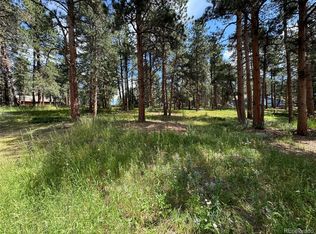 26698 De Berry St, Conifer, CO 80433
