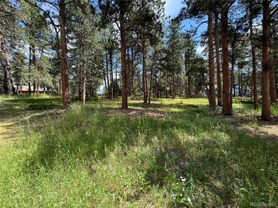 26698 De Berry Street, Conifer, CO, 80433