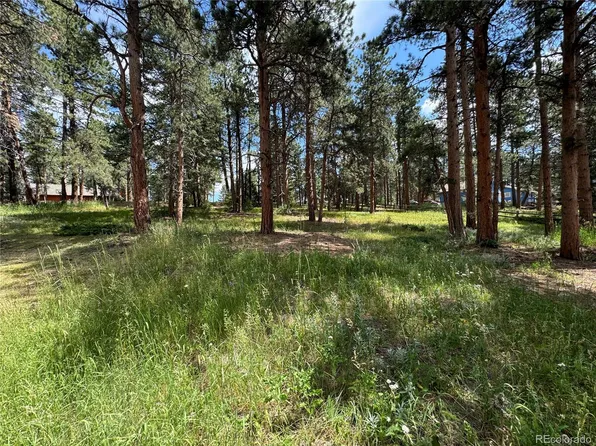 26698 De Berry Street, Conifer, CO 80433