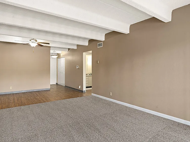 Large Connected Living Area