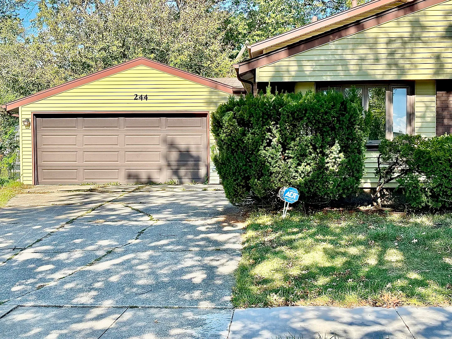 244 Thomas St photo 1