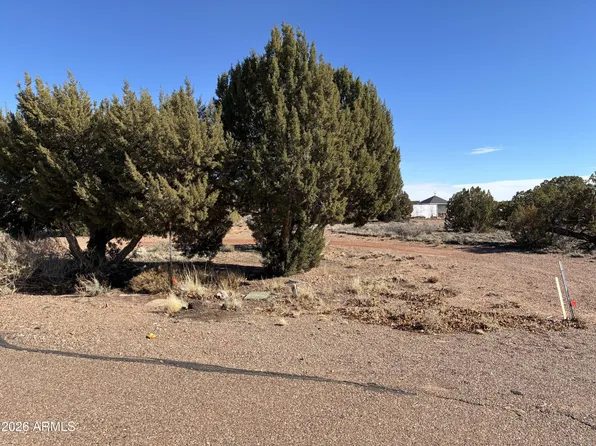 3XX S Manor Circle S #4, Snowflake, AZ 85937