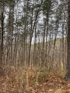 Bill Milen Rd, Old Fort, TN, 37362