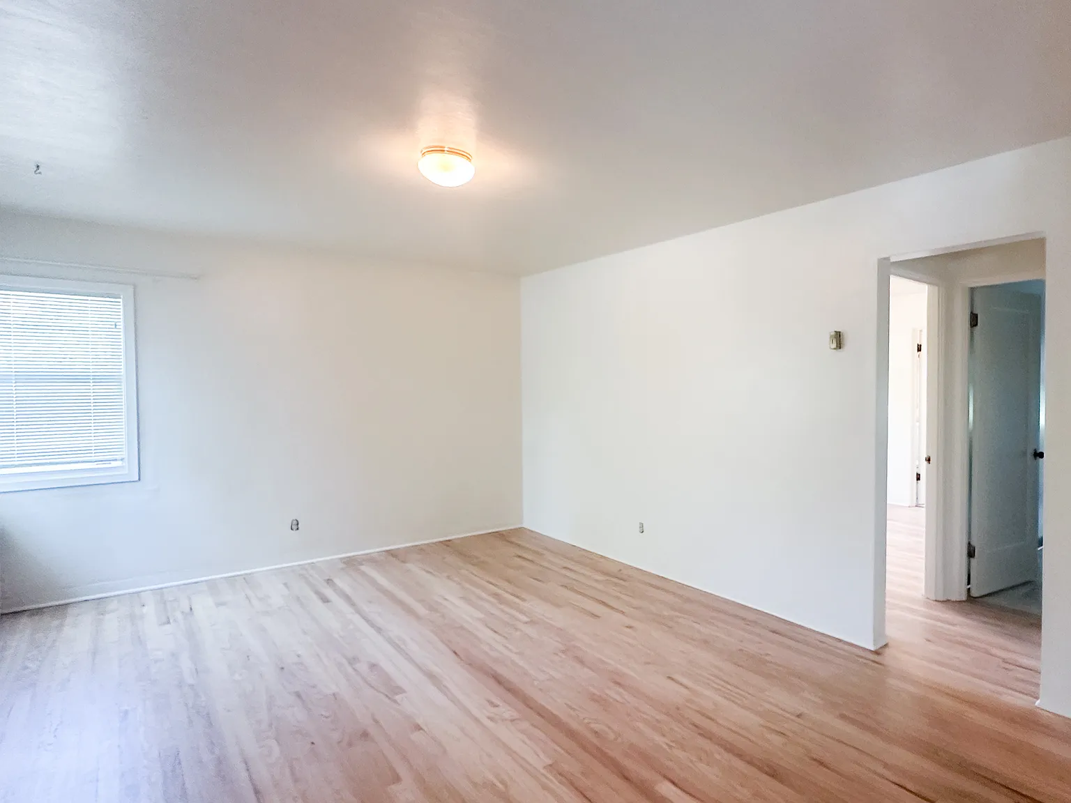 1 bed, 565 sqft, $1,200 — Photo 2