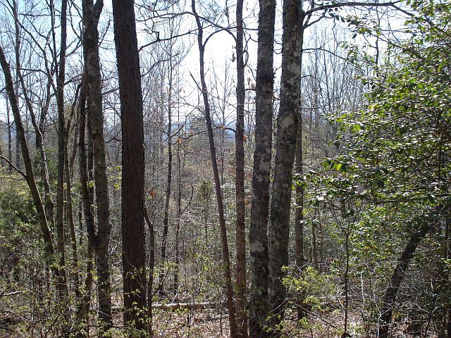 1st image of 11 Mason Mountain Dr