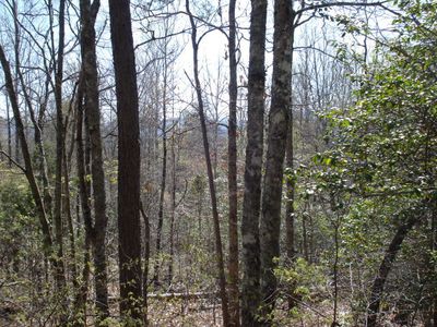 11 Mason Mountain Dr, Franklin, NC, 28734