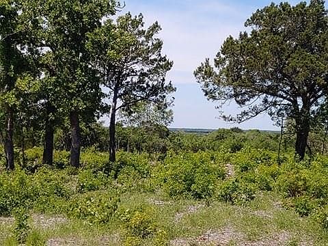2nd image of Lot 5 County Road 250