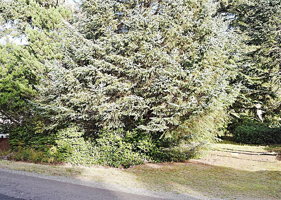 1st image of 614 Woodland Loop NE
