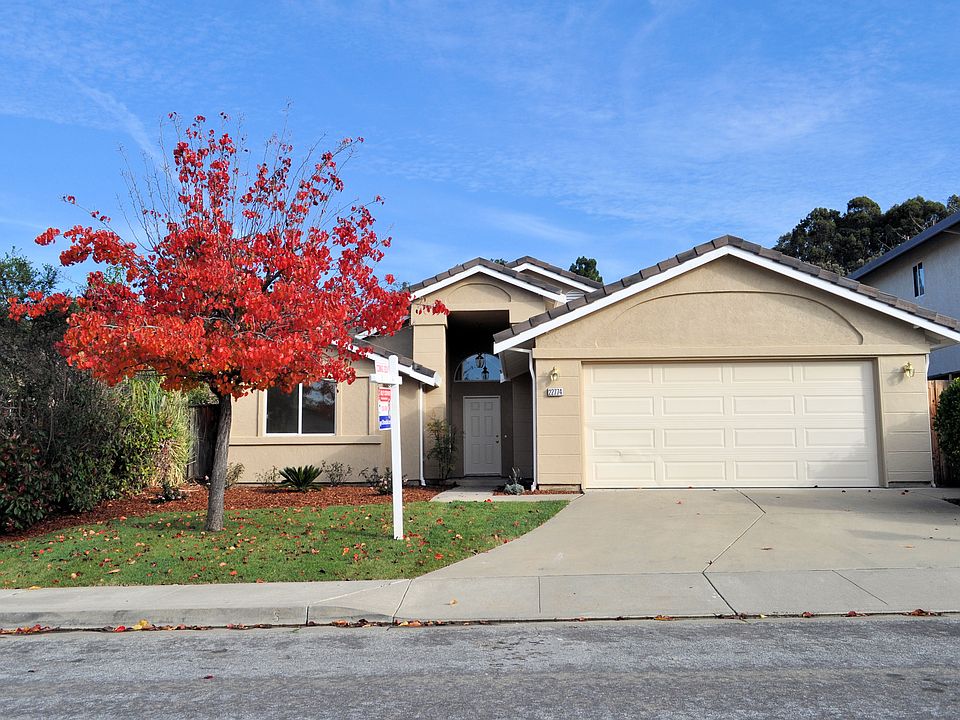 New Paint & Landscaping 