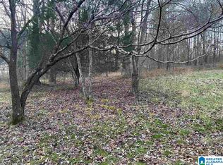 28 Chickasaw St, Springville, AL 35146