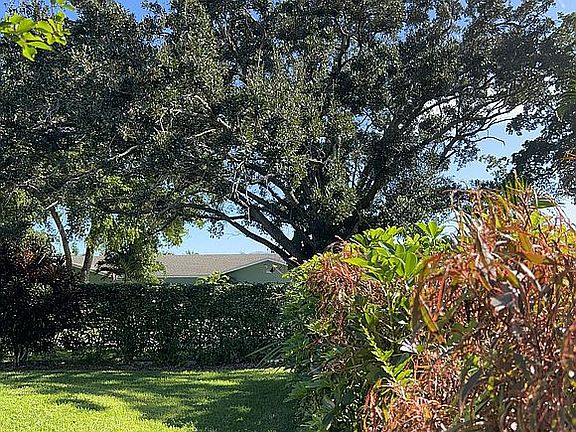 Back yard facing East 