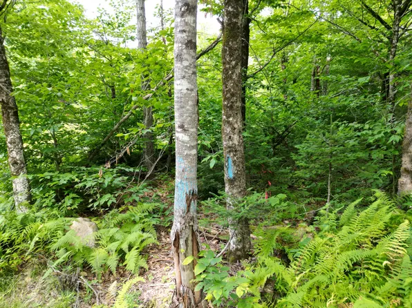 Lot 28 Off Ames Road, Lee, ME 04455